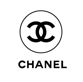 CHANEL CC CRUISE COLLECTION EVENING BAG WITH CHAIN