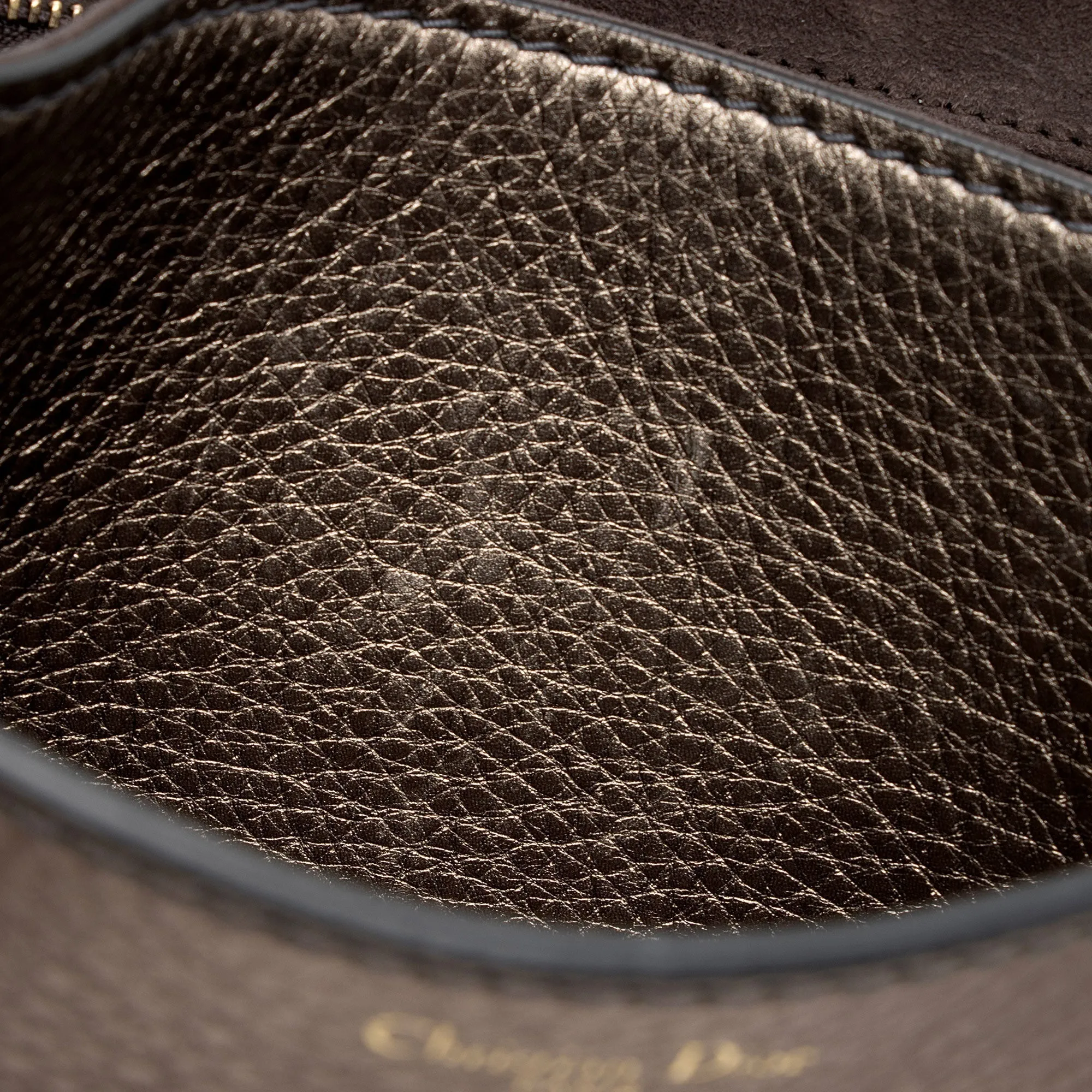 Dior Metallic Grained Calfskin Dio(R)evolution Flap Bag (SHF-ud74bp)