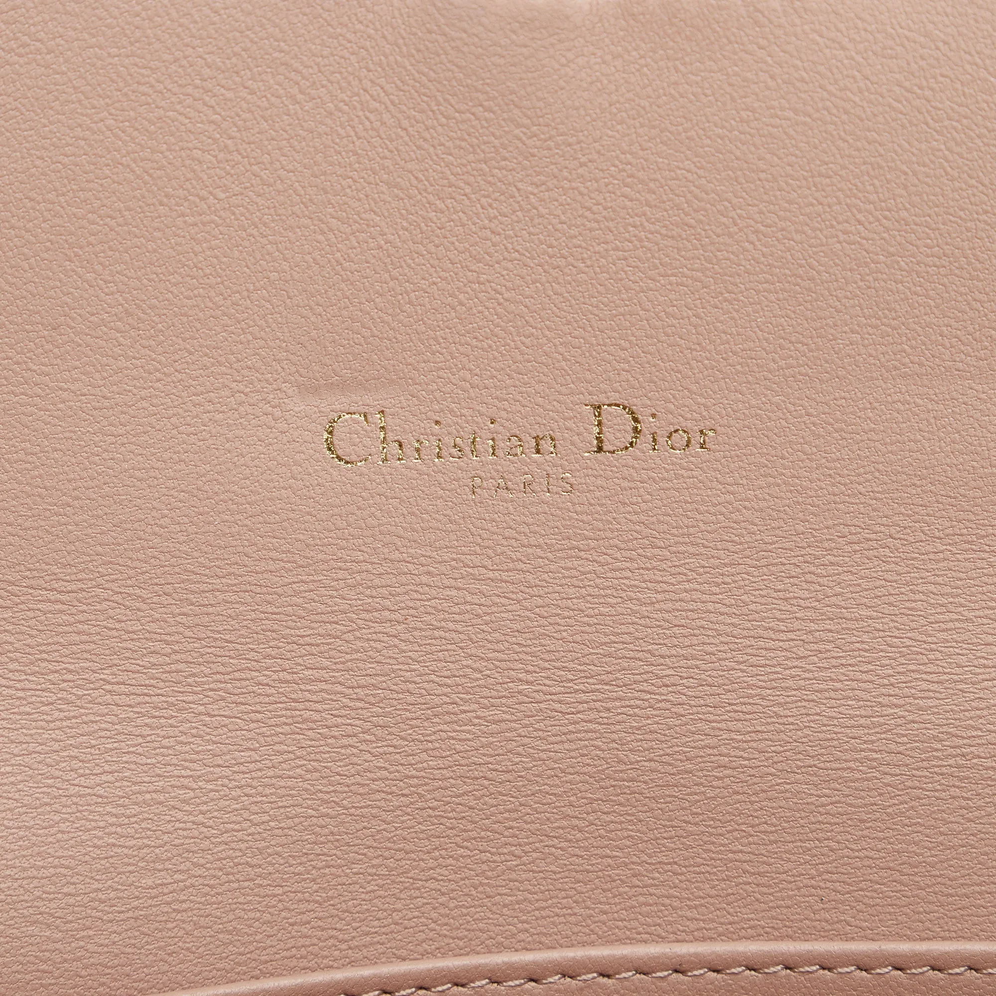DIOR Saddle Wallet On Chain Crossbody Bag