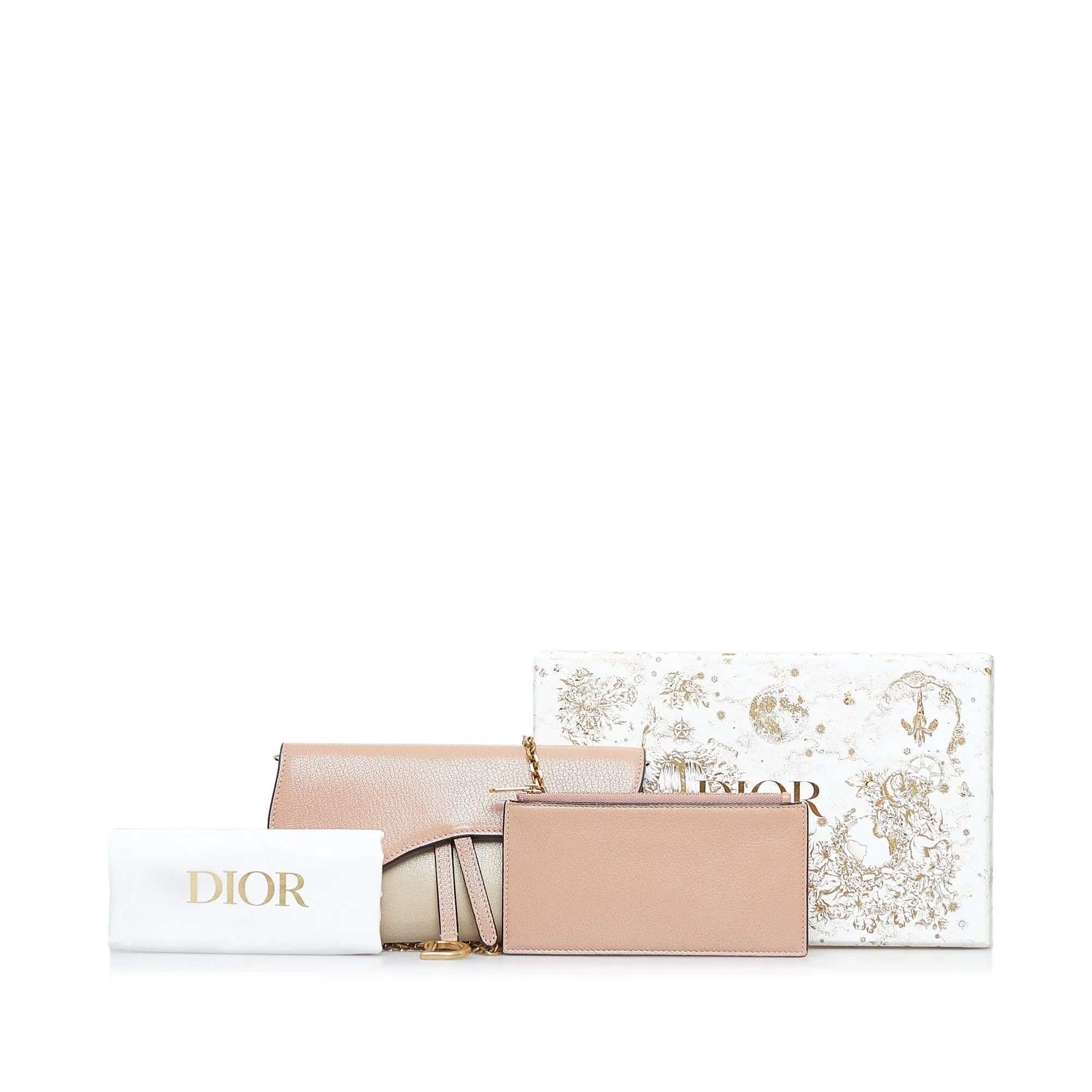 DIOR Saddle Wallet On Chain Crossbody Bag